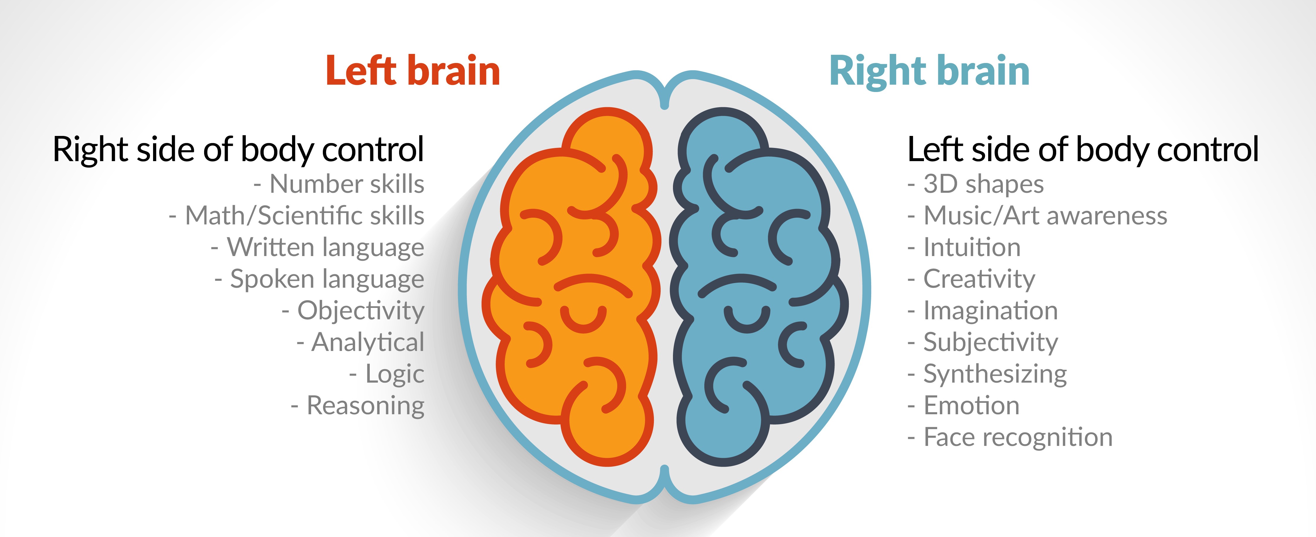 here-s-how-the-brain-makes-memories-and-what-you-can-do-to-keep-your