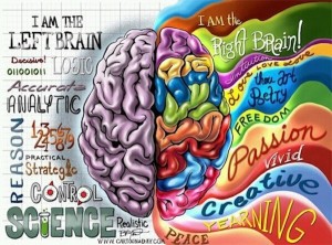 left right brain