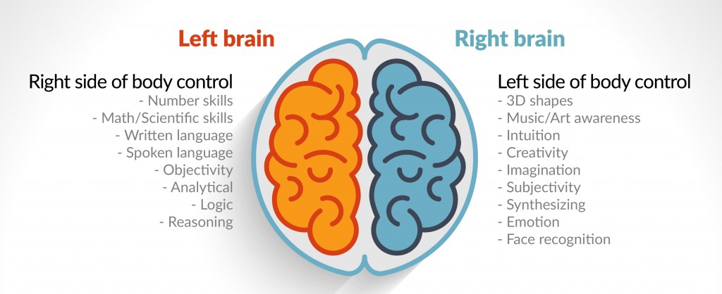 dr sara right and left brain