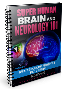 neurology 101