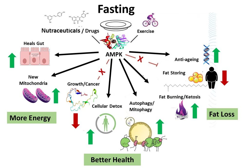 Fasting Safely Leeds